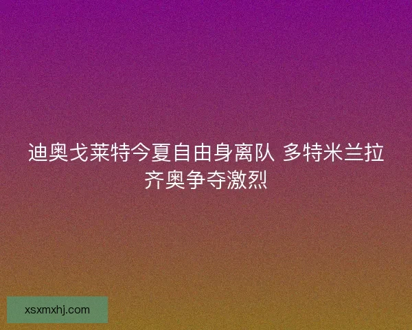 迪奥戈莱特今夏自由身离队 多特米兰拉齐奥争夺激烈